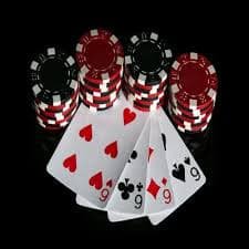 8535 bet